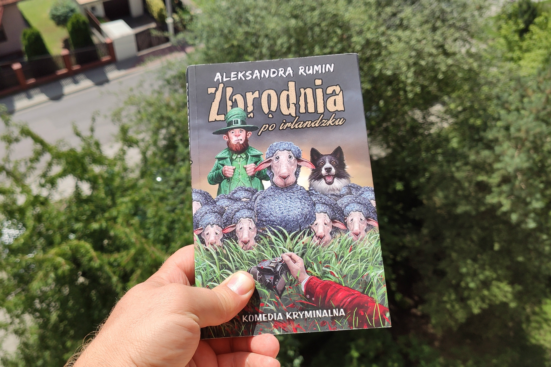 Zbrodnia po irlandzku